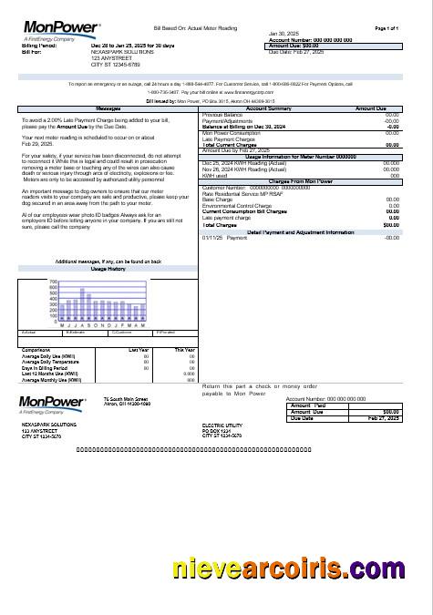 USA Mon Power business utility bill